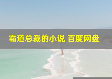 霸道总裁的小说 百度网盘